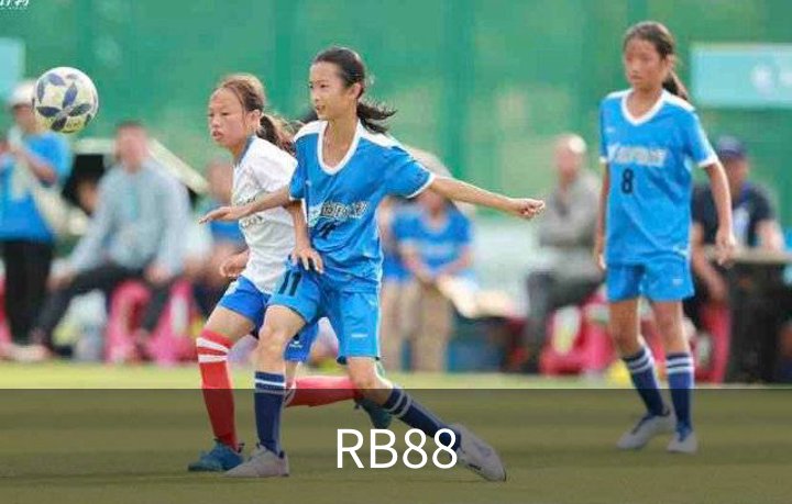 RB88介绍